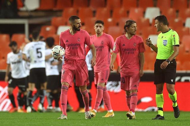 致敬，都柏林动物园将一只极度濒危的鹦鹉取名特洛伊-帕罗特